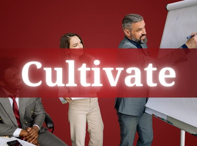oxr process cultivate skill city pro